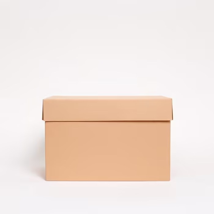Caixa Delivery — Papelão reforçado para transporte seguro.
